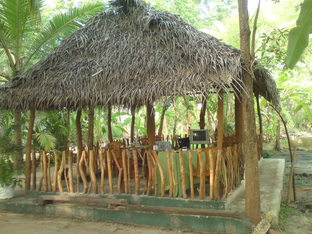 Coconut Park Bed & Breakfast Anuradhapura Dış mekan fotoğraf