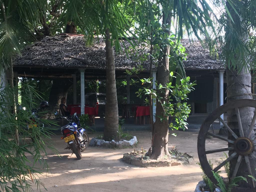 Coconut Park Bed & Breakfast Anuradhapura Dış mekan fotoğraf
