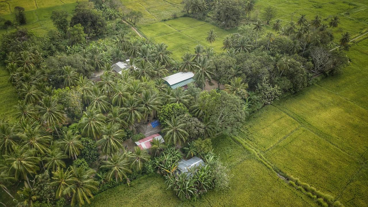 Coconut Park Bed & Breakfast Anuradhapura Dış mekan fotoğraf