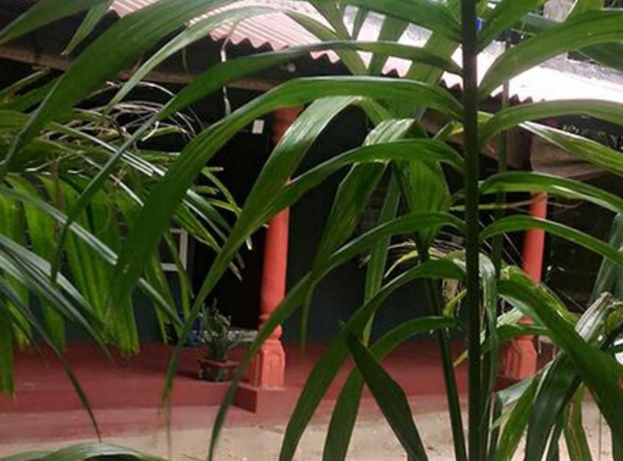 Coconut Park Bed & Breakfast Anuradhapura Dış mekan fotoğraf